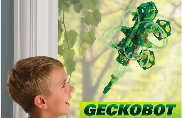 Gecko2.png